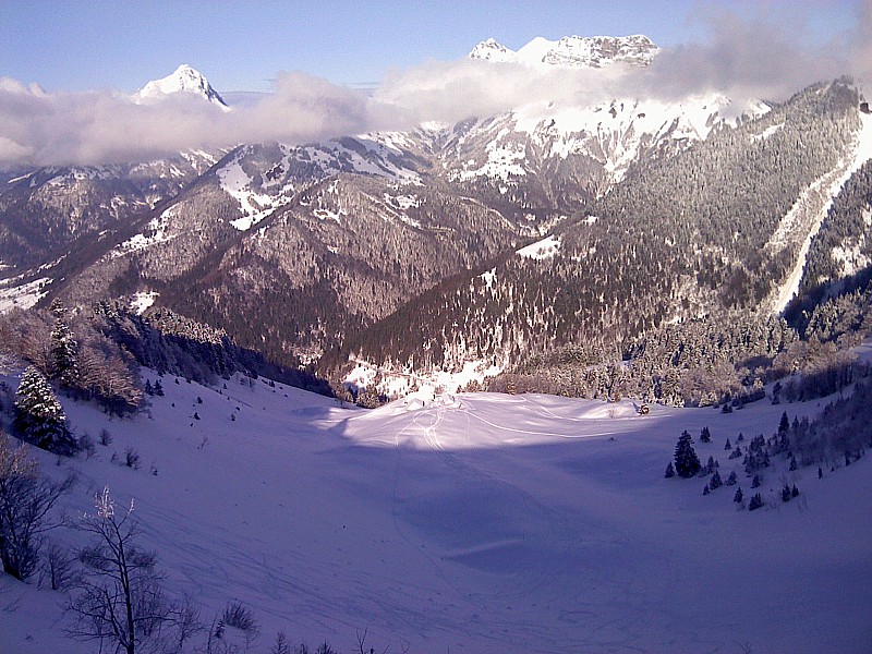 Chalets Bottier : Bonne poudre jusqu'à l'entrée de la forêt