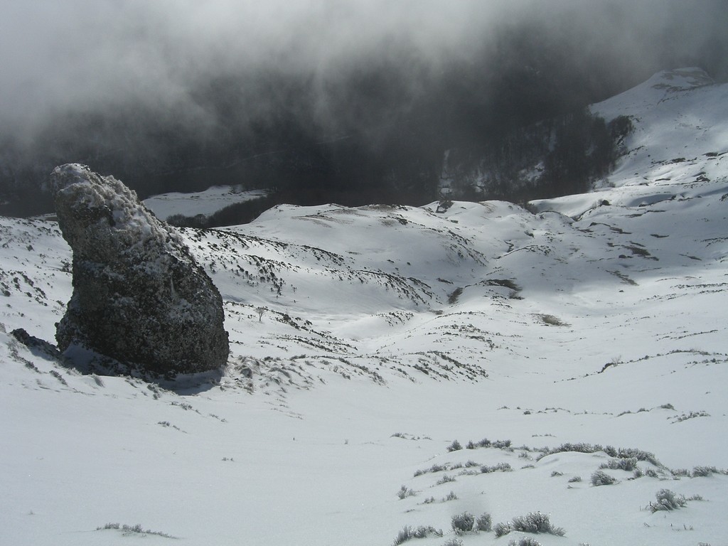 #10 Du point 1652 : Petite combe bien en condition Du point 1652 : Petite combe bien en condition