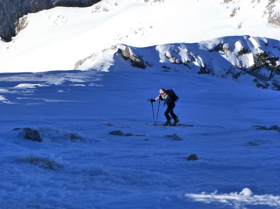 #1 Colombier : Rochers apparents au sommet Colombier : Rochers apparents au sommet
