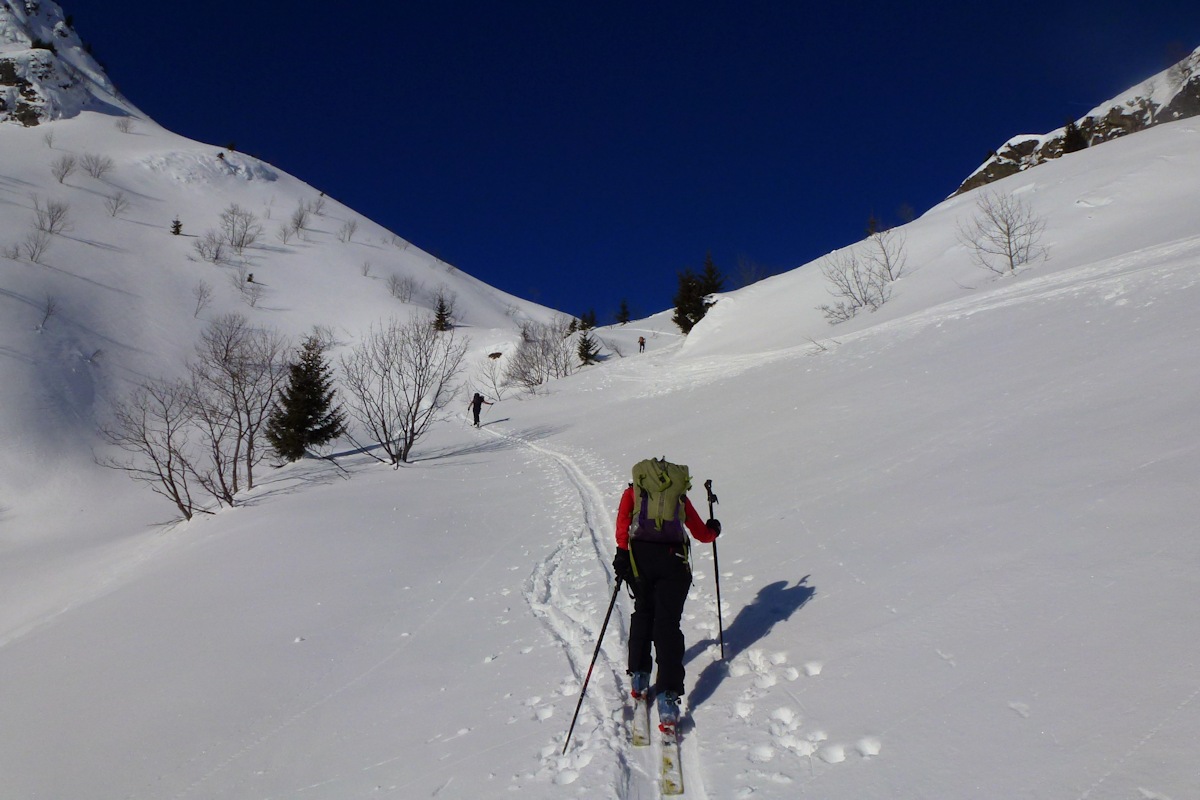 #3 Dans la trace : Juste avant d Dans la trace : Juste avant d'accèder au vallon du Bacheux.