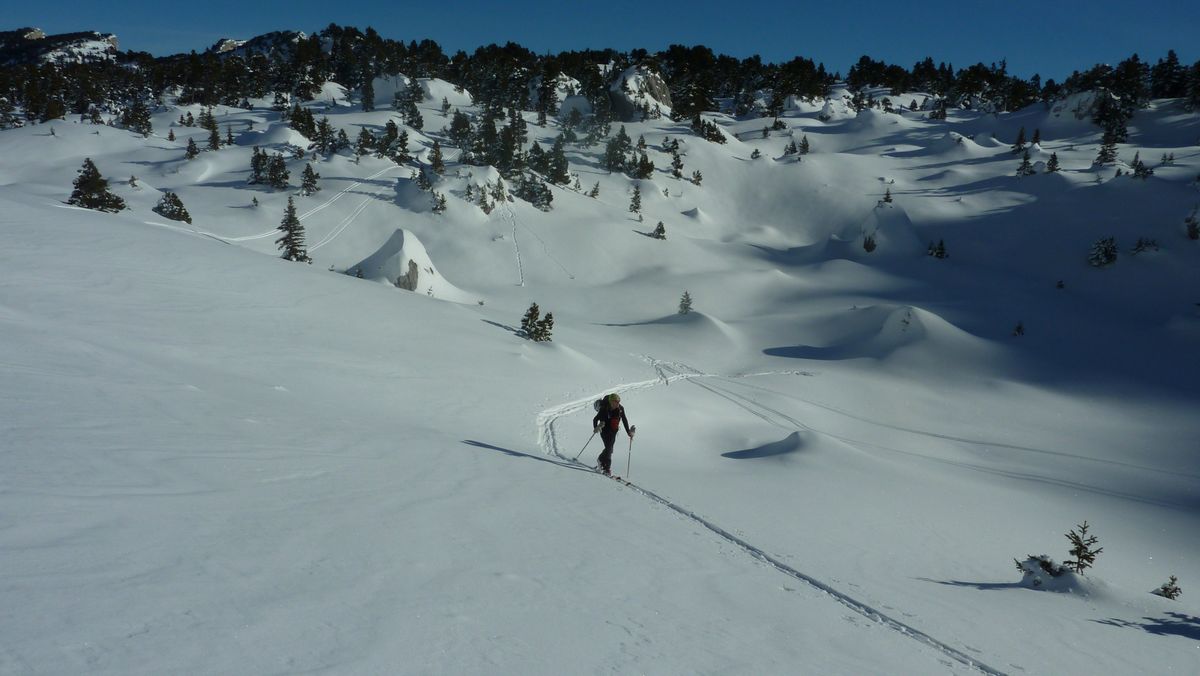 #25 Remontée : Jerome est ok pour remonter vu comme c Remontée : Jerome est ok pour remonter vu comme c'était bon !