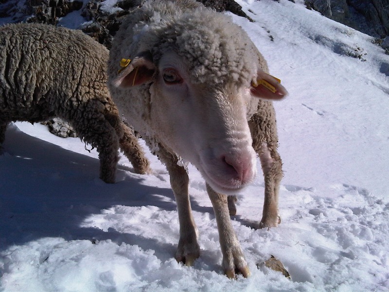 #16 Nourris ! : Et, du coup, beaucoup plus proches et reconnaissants ! Nourris ! : Et, du coup, beaucoup plus proches et reconnaissants !