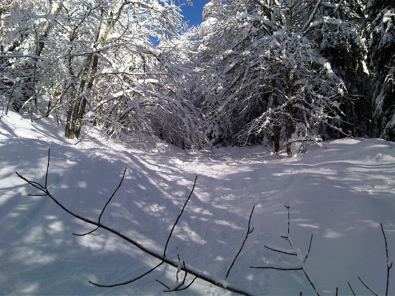 #2 Col de la Saulce : Premiers rayons Col de la Saulce : Premiers rayons