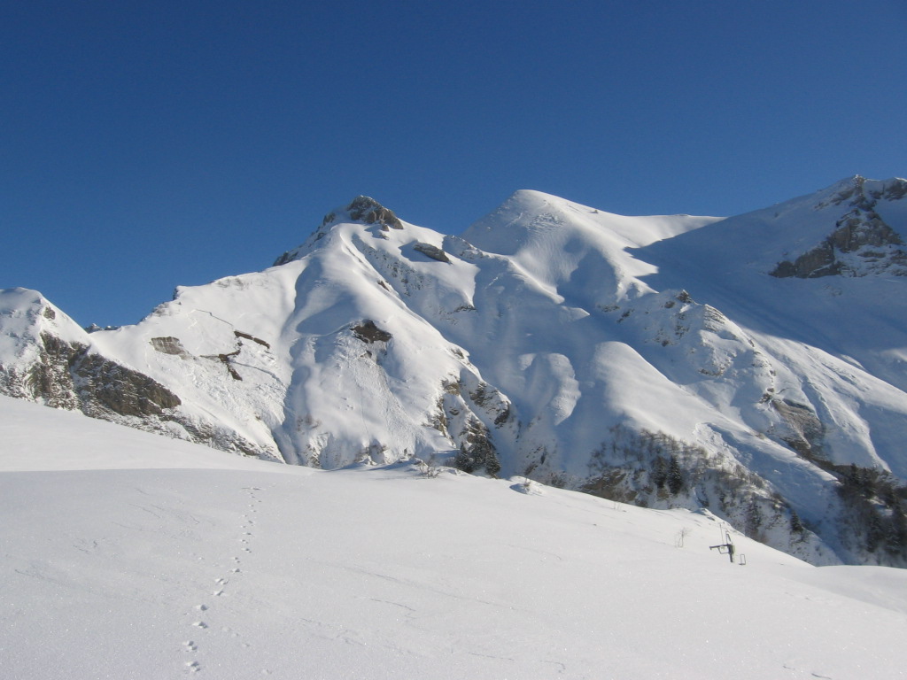 #9 Plan de la limace : En fond Le mont de la coche Plan de la limace : En fond Le mont de la coche