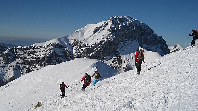 #3 limace : les bronzés font du ski limace : les bronzés font du ski