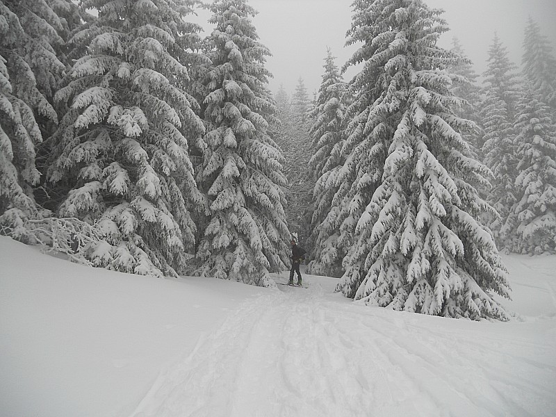 #2 tout est soupoudrée : ambiance hivernale tout est soupoudrée : ambiance hivernale