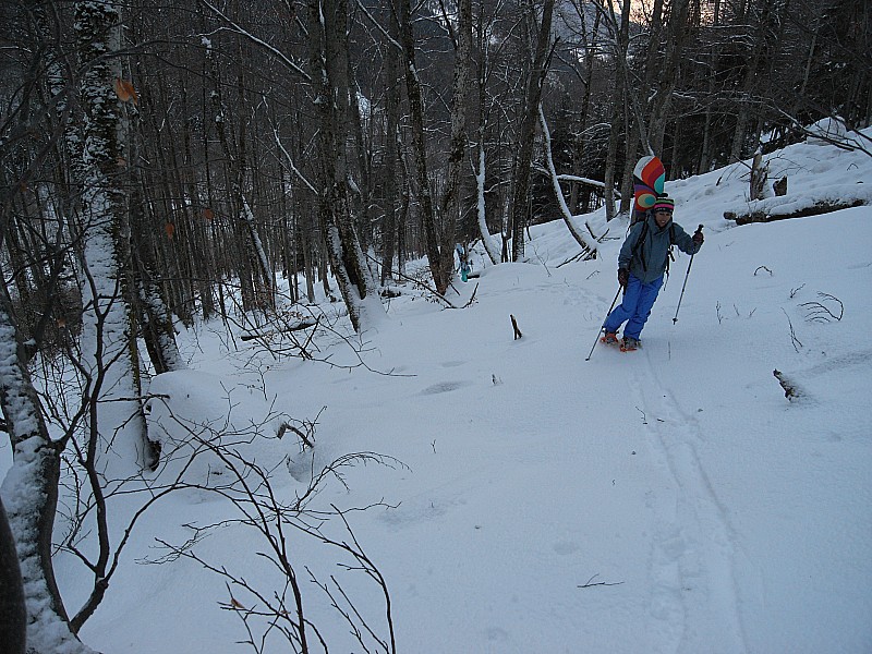 Montée forêt : Au bout de la route forestière, on s'engage dans la forêt pour retrouver l'axe du ruisseau, assez ouvert, mais ici encombré par une vieille avalanche.
Le bas de la forêt est assez skiant.