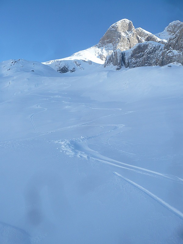 #6 Dents Blanches : traces Dents Blanches : traces