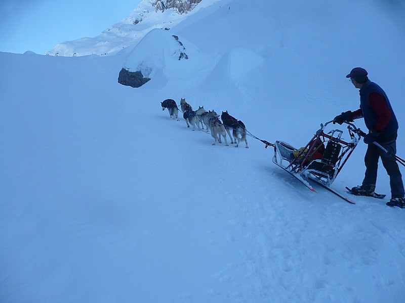 #3 vallon de bostan : le musher et ses chiens vallon de bostan : le musher et ses chiens