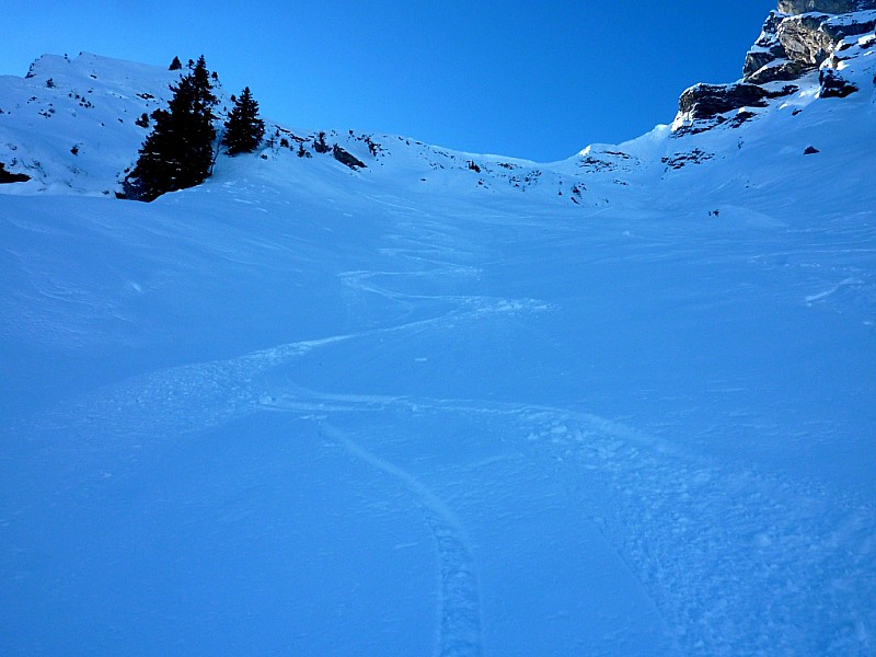 #8 Bas de la face : Poudre. Bas de la face : Poudre.