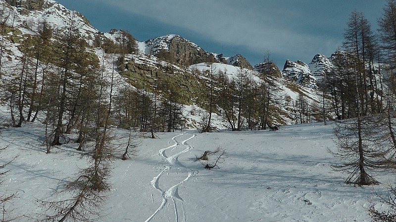 2300m : un peu de poudre dans la forêt sur la bas avant la zone délicate minée pour rejoindre la piste de sanguinière