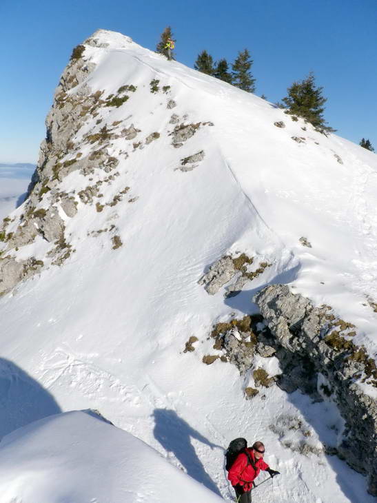 #2 Brèche des Roches Rousses : Tiens y Brèche des Roches Rousses : Tiens y'a un chamois à 2 pattes!