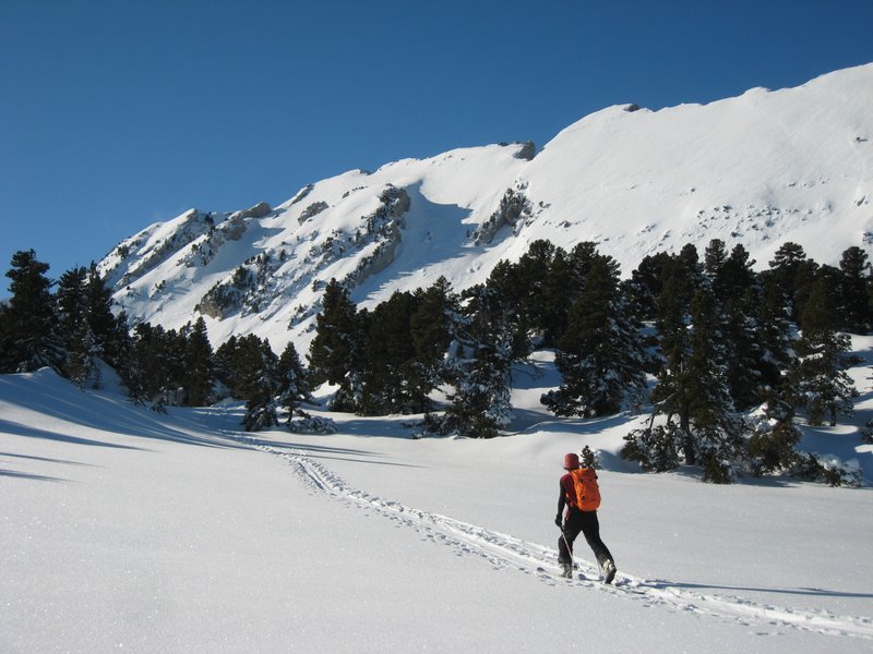 #2 Vallon de Marcieu : Jolie trace dans une neige froide Vallon de Marcieu : Jolie trace dans une neige froide