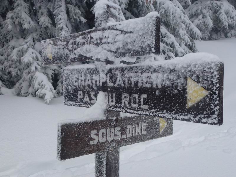 #3 Panneau : ... dans le brouillard, ca aide Panneau : ... dans le brouillard, ca aide