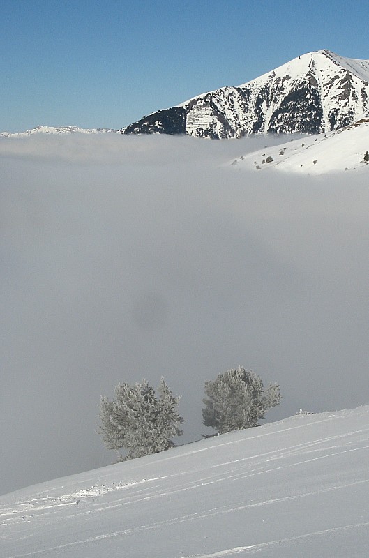 #3 Vue sur le brouillard Vue sur le brouillard