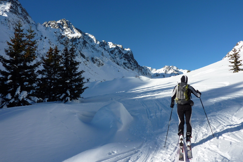 #2 Homme grenouille : l Homme grenouille : l'équipe Cousteau étudie la faune des montagnes