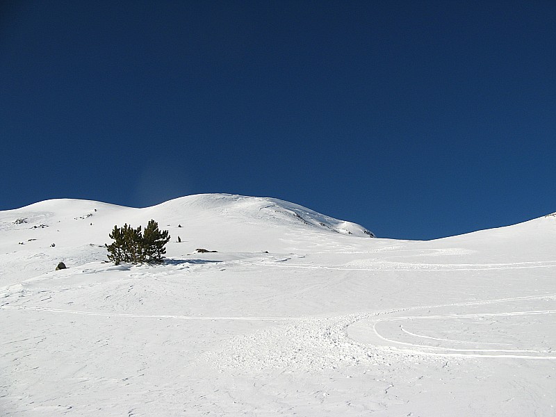 #4 descente descente