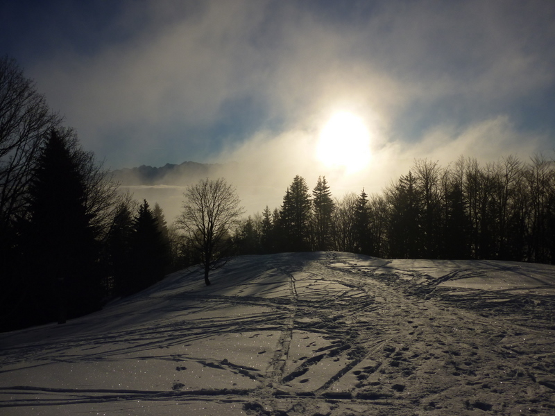 #4 Quasi fini avec la forêt : Le soleil pointe son nez au dessus de la mer de nuage. Quasi fini avec la forêt : Le soleil pointe son nez au dessus de la mer de nuage.