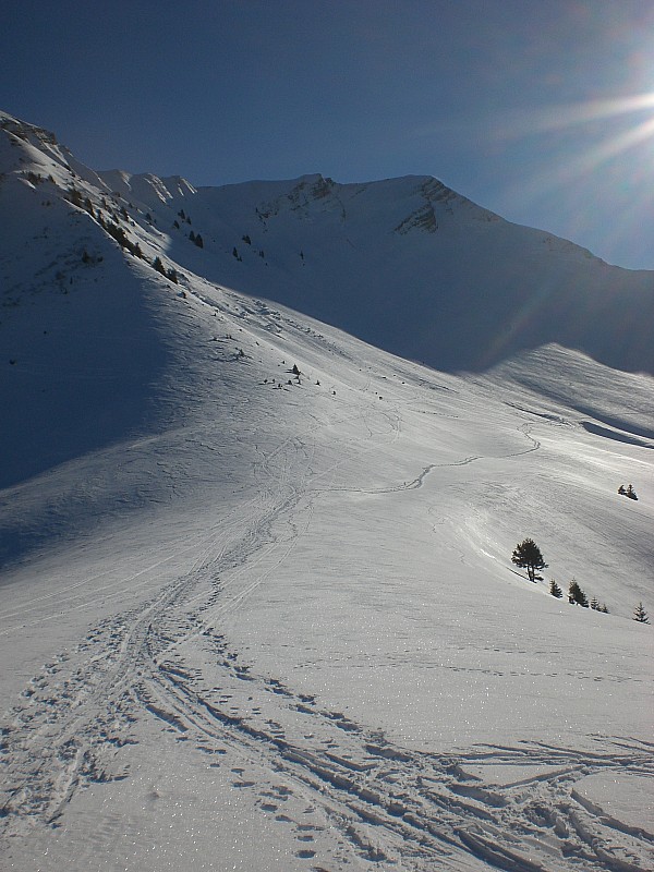 #5 Pointe de Chaurionde : La face skiée ce jour encore à l Pointe de Chaurionde : La face skiée ce jour encore à l'ombre vers 13h