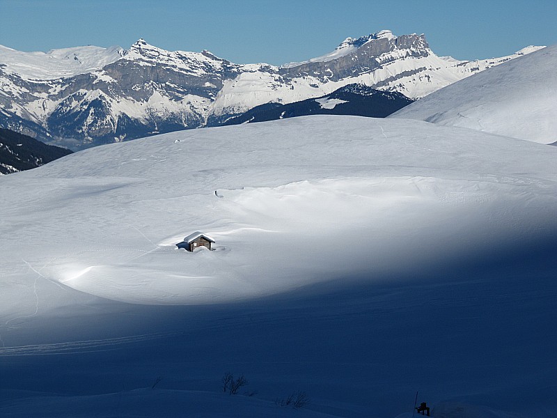 #1 Petit chalet : un peu seul et perdu dans l Petit chalet : un peu seul et perdu dans l'immensité blanche.