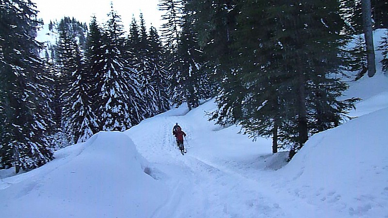 #1 Tardevant : Départ dans la forêt Tardevant : Départ dans la forêt