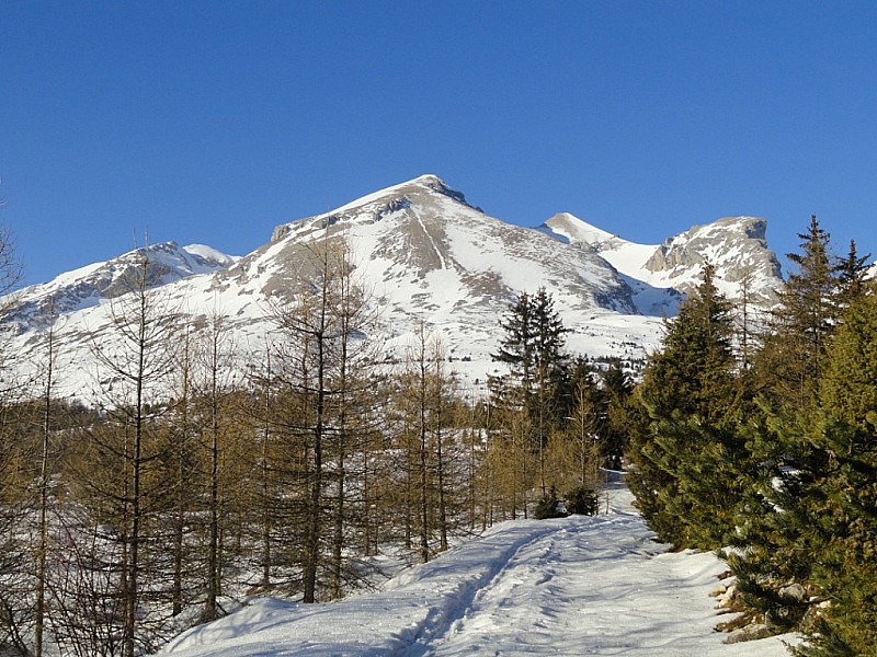 #1 Rocher Rond : Plus beaucoup de neige sur ce versant Rocher Rond : Plus beaucoup de neige sur ce versant