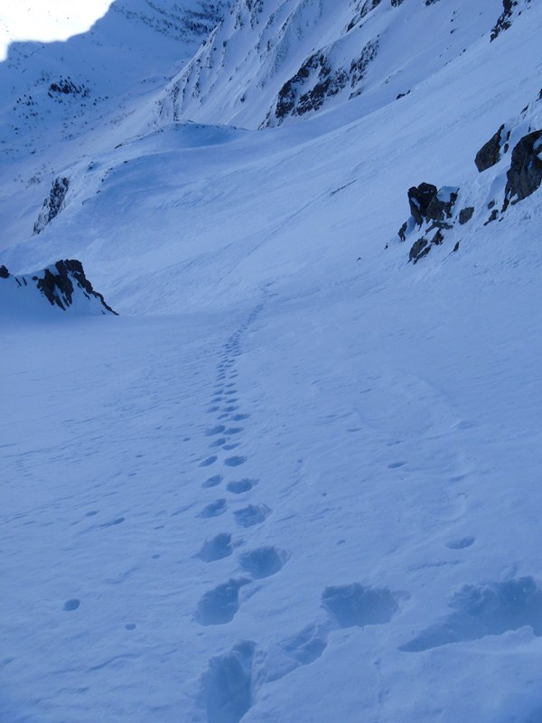 #5 a la montée dans la 2e partie de la face a la montée dans la 2e partie de la face
