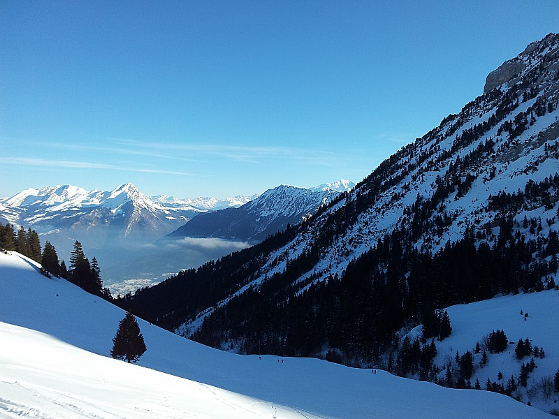 #2 Vue sur le Mt Blanc : En sortant de la Forêt Vue sur le Mt Blanc : En sortant de la Forêt