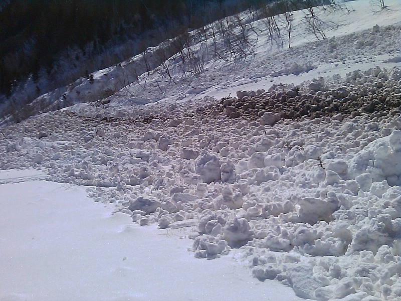avalanche : sortie de forêt, grosse avalanche de fond partie d'environ 1800 m