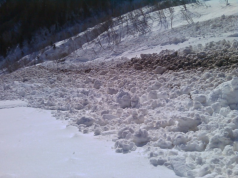 #2 avalanche : sortie de forêt, grosse avalanche de fond partie d avalanche : sortie de forêt, grosse avalanche de fond partie d'environ 1800 m