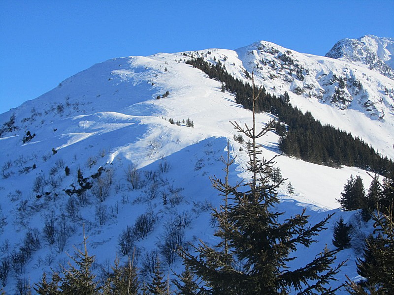 #8 Montagne de Presle : La crête descendue Montagne de Presle : La crête descendue