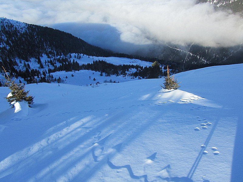 #7 Gde Montagne du Vermail : On l Gde Montagne du Vermail : On l'évitera, à tort