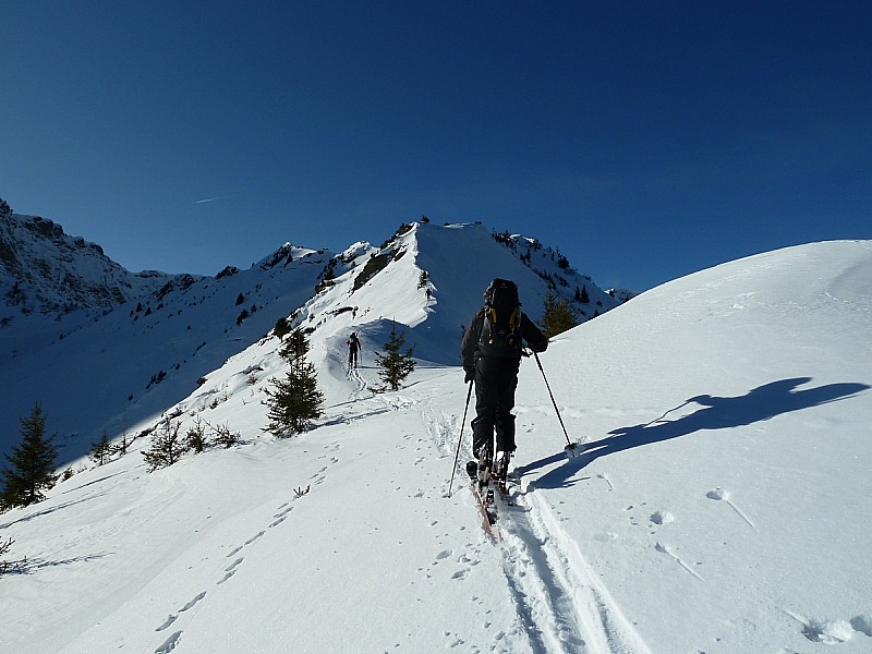 #2 L L'aête de l'Aiguille de Pertuis à la Tête du Cheval.