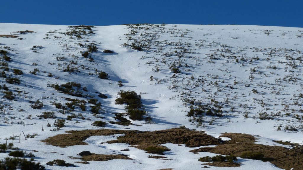 #10 Cirque de Grandval : Sur les derniers mètres, il faut slalomer entre les genêts. Cirque de Grandval : Sur les derniers mètres, il faut slalomer entre les genêts.