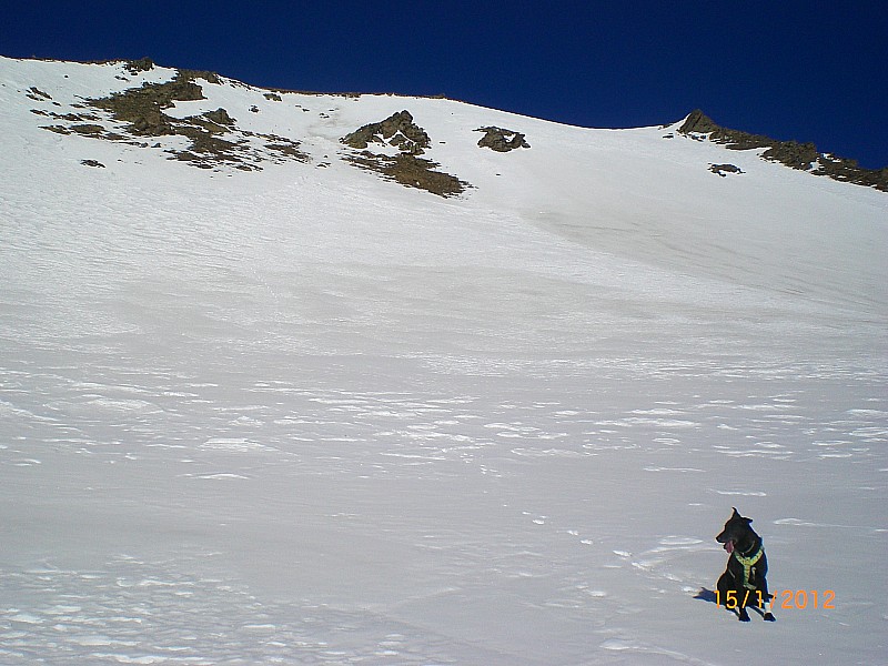 #5 crête de Mome : Pente sud sommitale en neige de printemps. crête de Mome : Pente sud sommitale en neige de printemps.