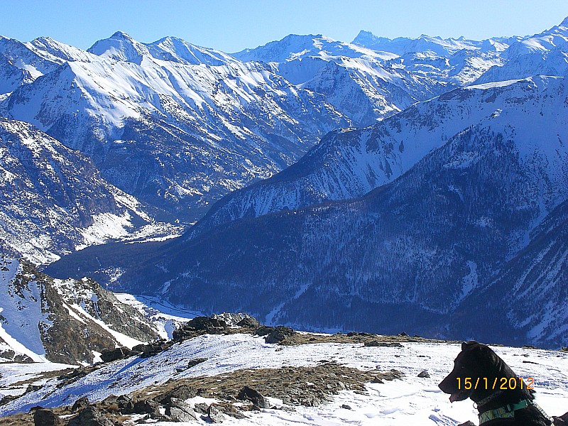 #3 crête de Mome : La crête est dégarnie. crête de Mome : La crête est dégarnie.