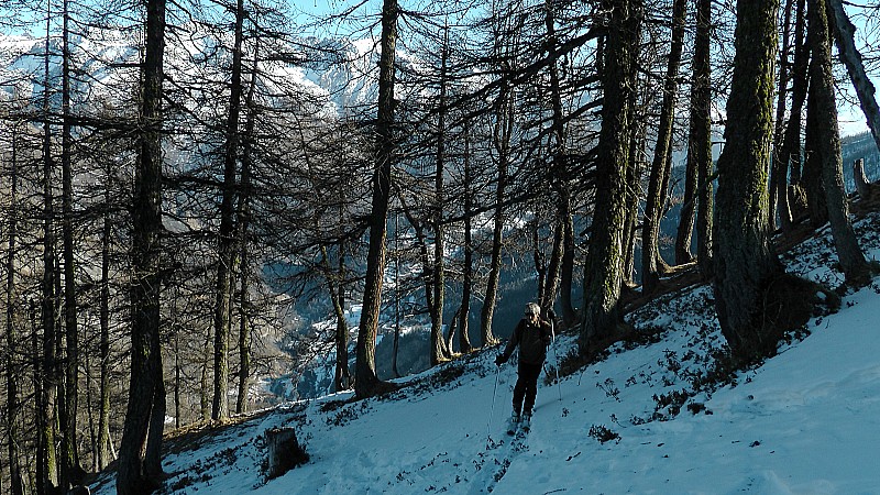 #8 2000m : montée un peu sanglier par moment mais ça passe 2000m : montée un peu sanglier par moment mais ça passe