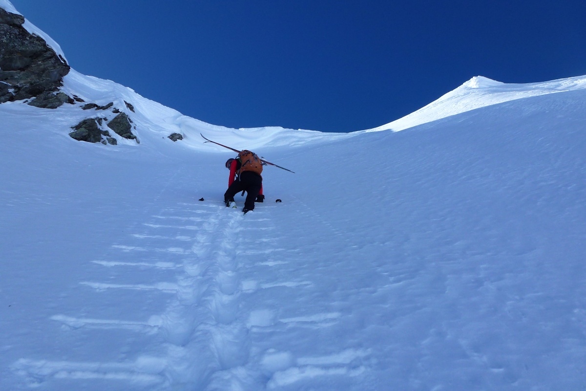 #6 Couloir E-NE de Freydon : Excellentes conditions. Couloir E-NE de Freydon : Excellentes conditions.