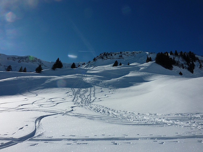#6 Vers les chalets d Vers les chalets d'Aufferand : Bonne poudre.