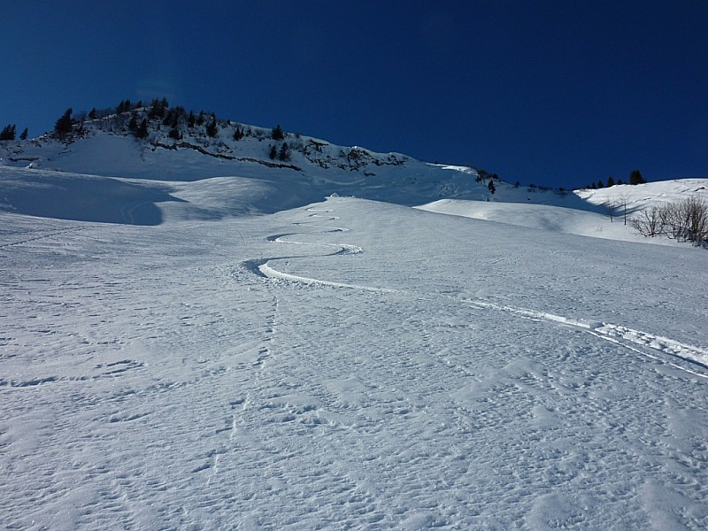 #4 Face N Tete d Face N Tete d'Aufferand : Bonne poudre.