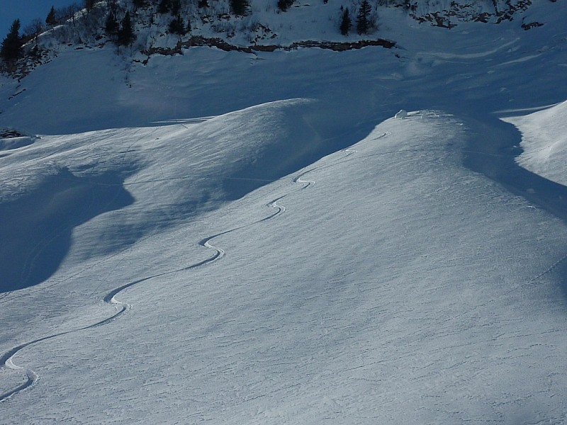 #5 Face N Tete d Face N Tete d'Aufferand : Bonne poudre.