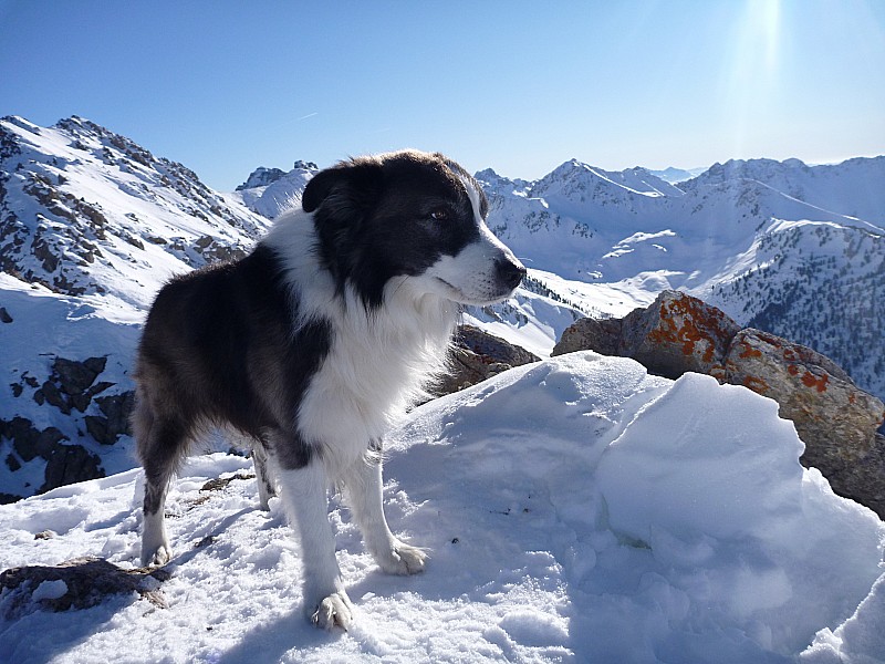 #2 Tchesco avec nous : Arrivés au sommet, le soleil, ça change de l Tchesco avec nous : Arrivés au sommet, le soleil, ça change de l'itinéraire qui voit pas le soleil