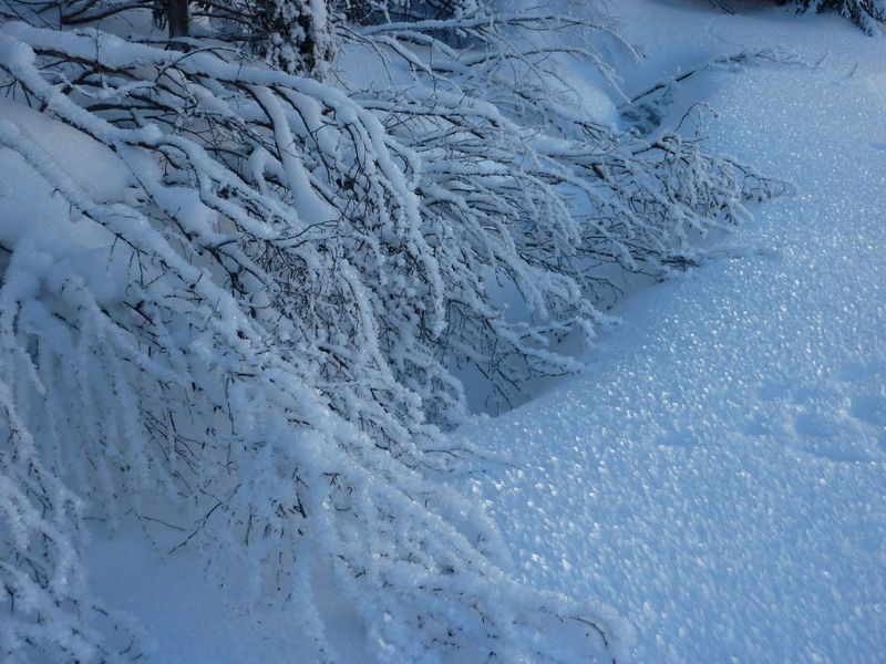 #1 Belle neige Belle neige