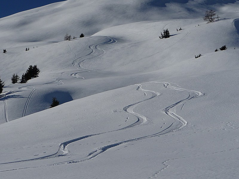#5 Neige excellente Neige excellente