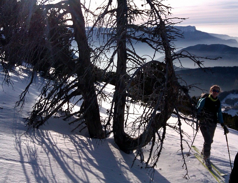 #4 Plateau sommital : Pas de traces non plus par là et encore un peu de poudre. Plateau sommital : Pas de traces non plus par là et encore un peu de poudre.