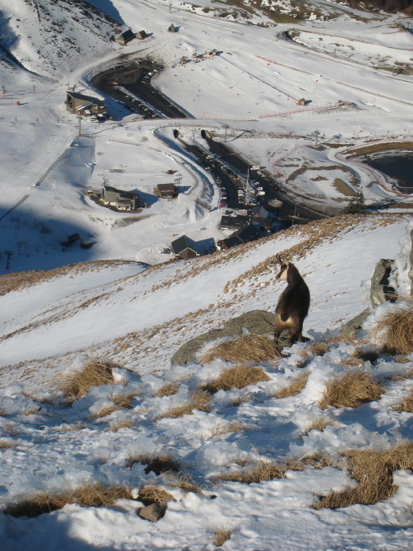 #2 Charlie : montre son derrière Charlie : montre son derrière