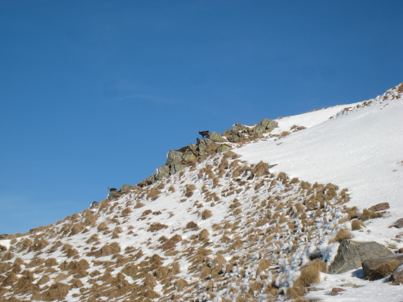 #1 Charlie Family : en arrivant à Cacadogne Charlie Family : en arrivant à Cacadogne