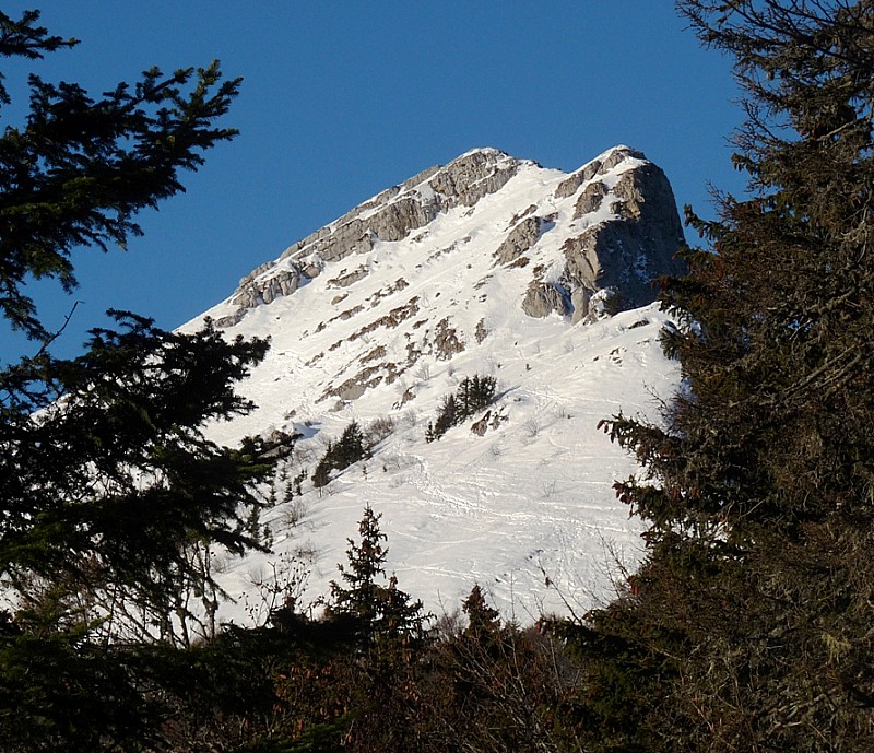 #3 La Pinéa : avec sa courte mais belle face SE La Pinéa : avec sa courte mais belle face SE