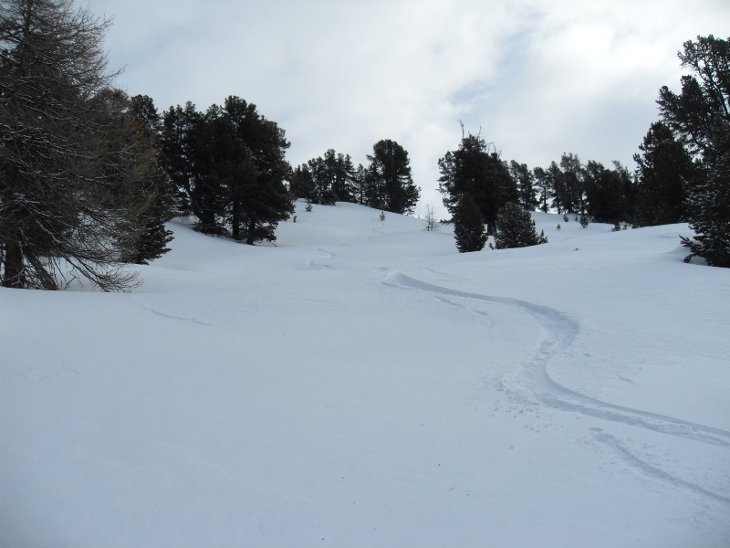 #9 descente : crêtes de Brusas, c descente : crêtes de Brusas, c'est super bon!
30 cm de poudre.