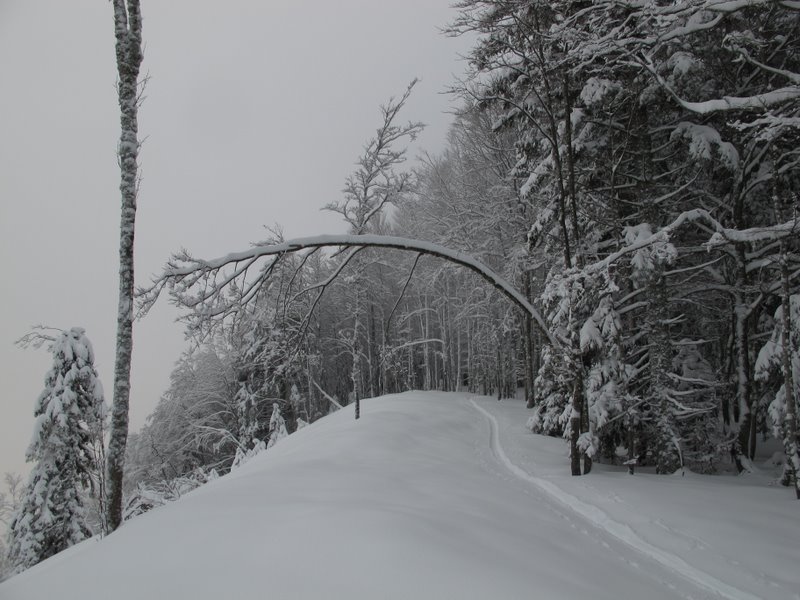 #3 Vers La Pinea. Vers La Pinea.
